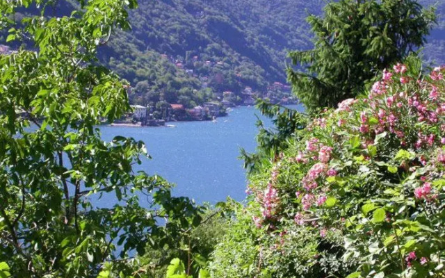 Sonia - Musica & Aperol Panorama-Fewo (DG)