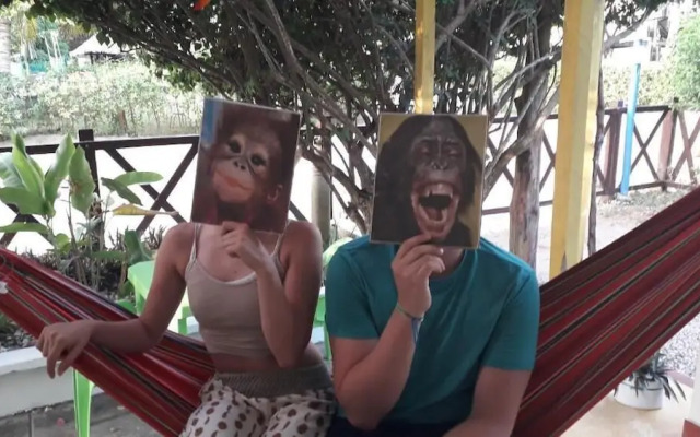 La casa mono cuco Hostel