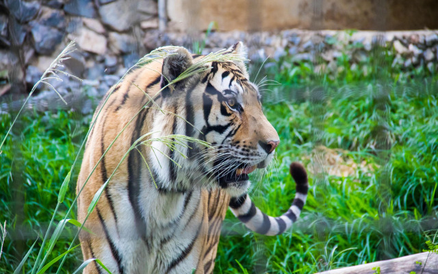 Hotel Dan Inn Sorocaba by Nacional Inn