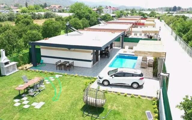 Portakal Çiçeği 1