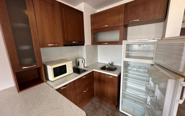 Spacious Mountain View Apartment