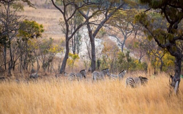 Bushman Rock Safaris