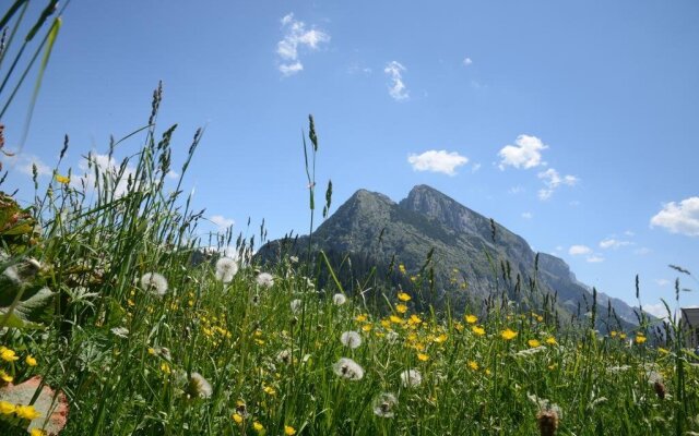 Der Alpenblick