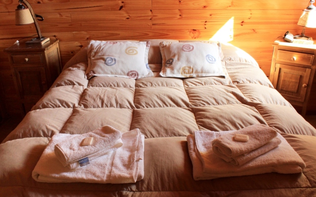 Tierra Nativa Apart Hotel
