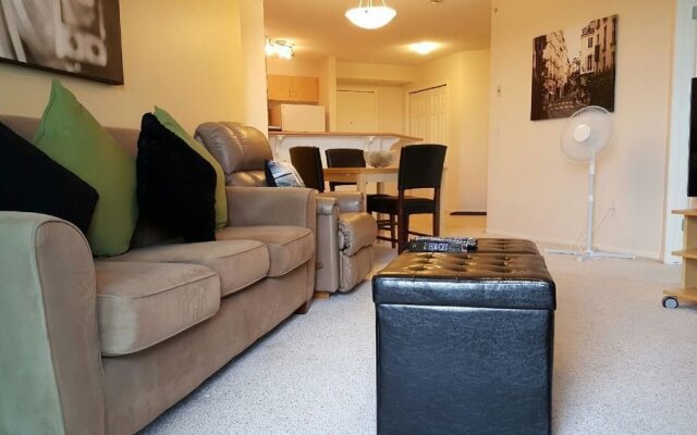 Fastlane Suites Tarjan
