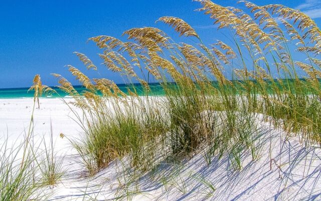 Beachfront #A104 - 2 Br Condo