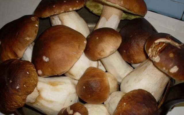 Urban Style L'Étape