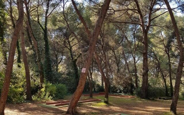 Appartement Six-Fours-les-Plages, 2 pièces, 4 personnes - FR-1-316-94