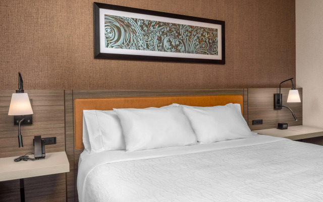 Hilton Garden Inn Chicago Central Loop