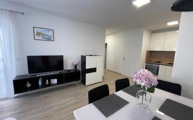The Big Terrace Apartment