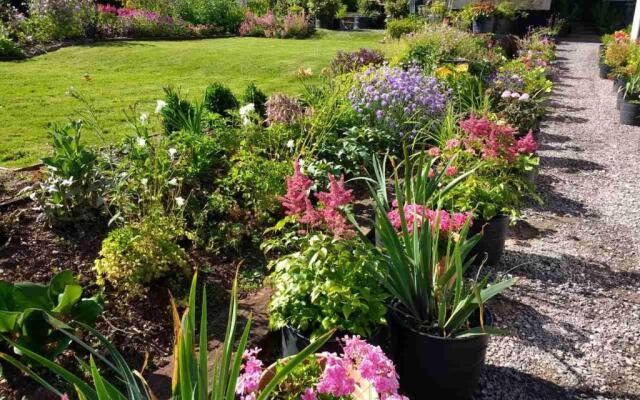 Brambles Bed and Breakfast
