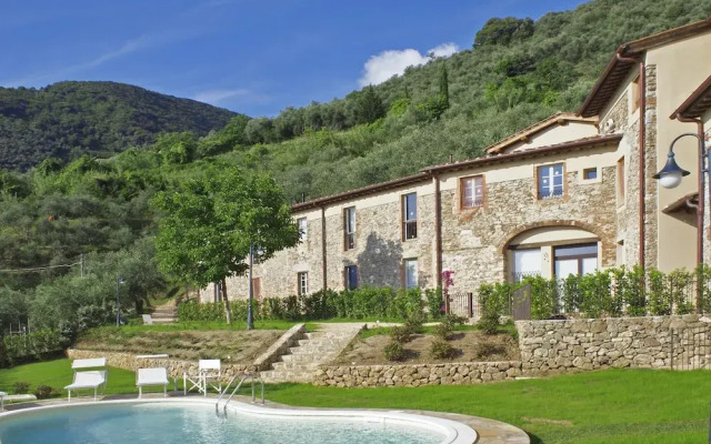 Tiglio Grillo in Camaiore