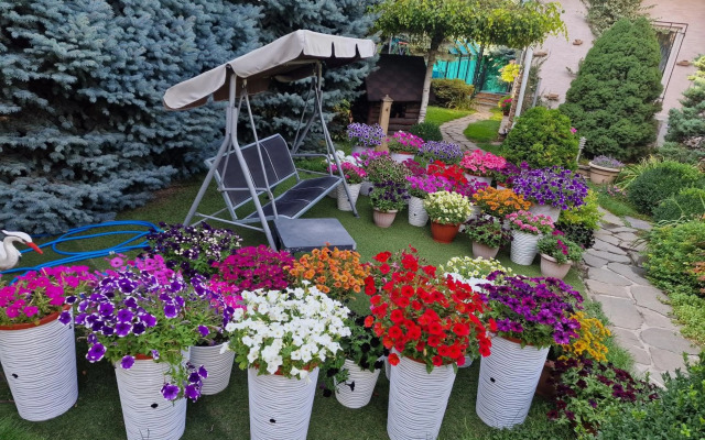 Апартаменты в гостевом домике