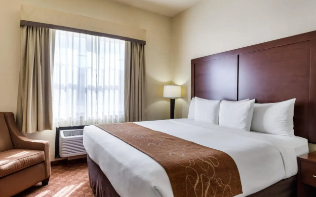 Comfort Suites near NASA - Clear Lake