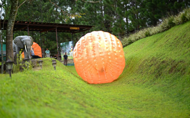 Dahilayan Forest Park Resort