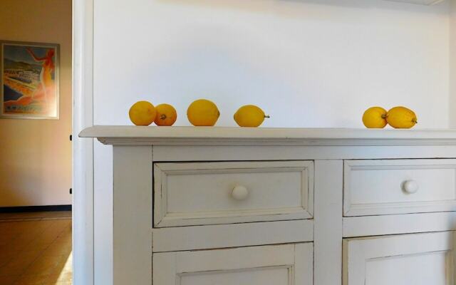 Welcome to Alma's House