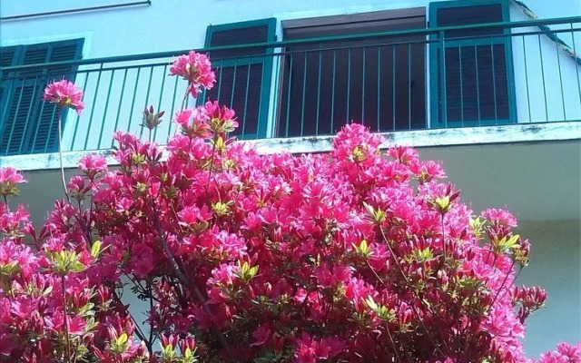 Casa Vacanze 100 Palme