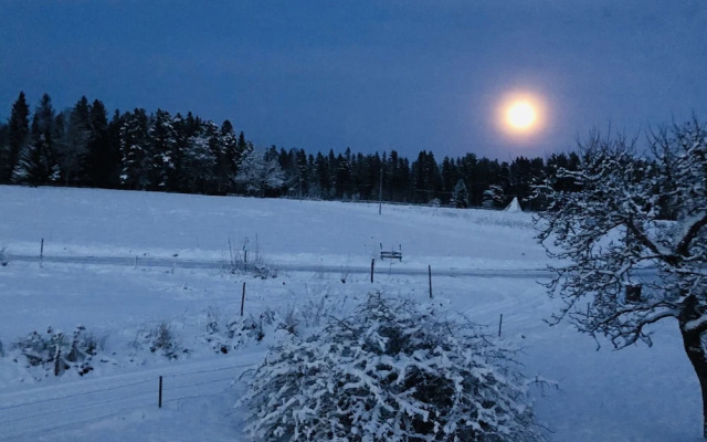 Charming 1-bed Studio in Avesta