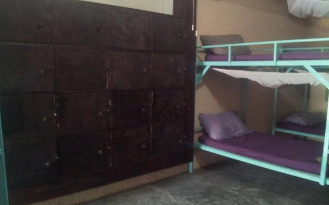 Purple Monkey Backpackers
