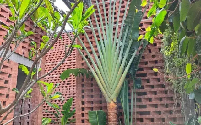 Sengal Botique Hotel