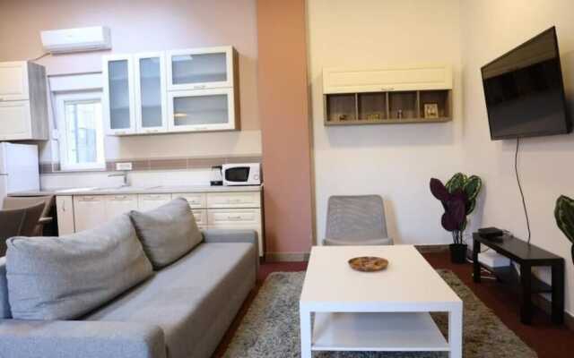 Belgrade Center Apartment Nusiceva