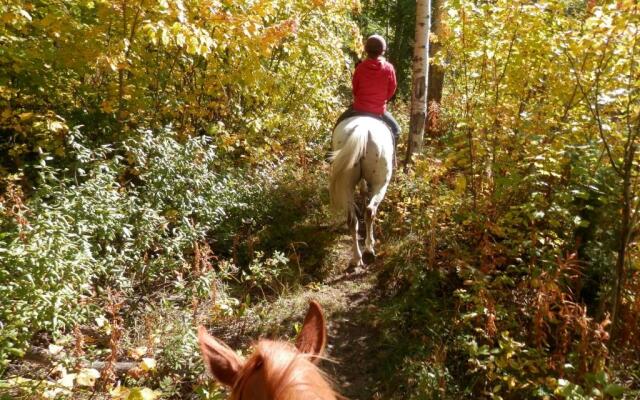 Mica Mountain Lodge & log cabins & side by side ATV tours