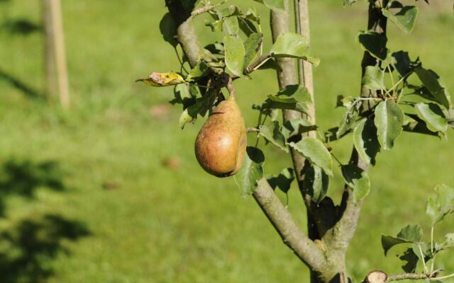 Beautiful Holiday Home in Heeten With Private Garden