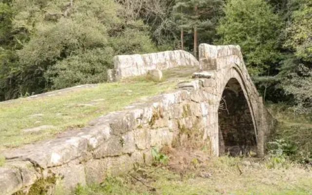 Rosedale