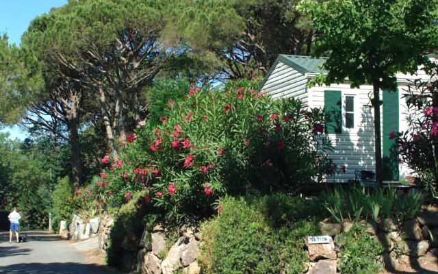 Douce Quiétude - Campsite