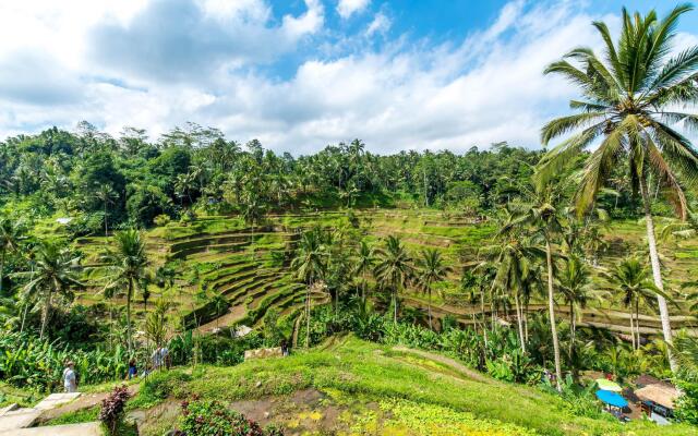 Ananda JJ Ubud Resort & Spa