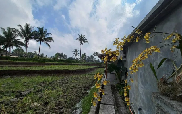 Rumah Kemuning Bali