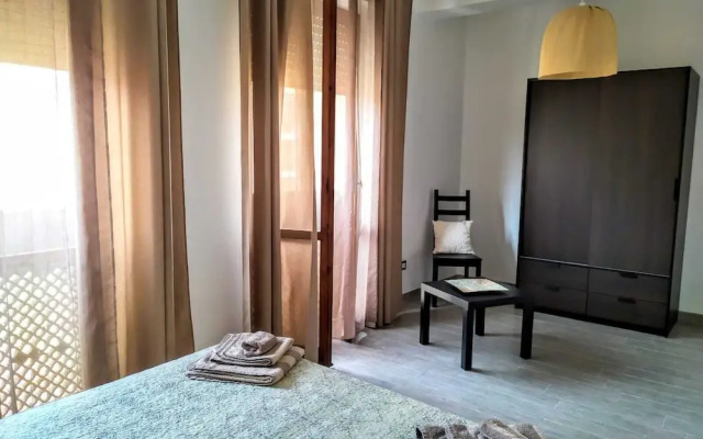 B&B Libellula