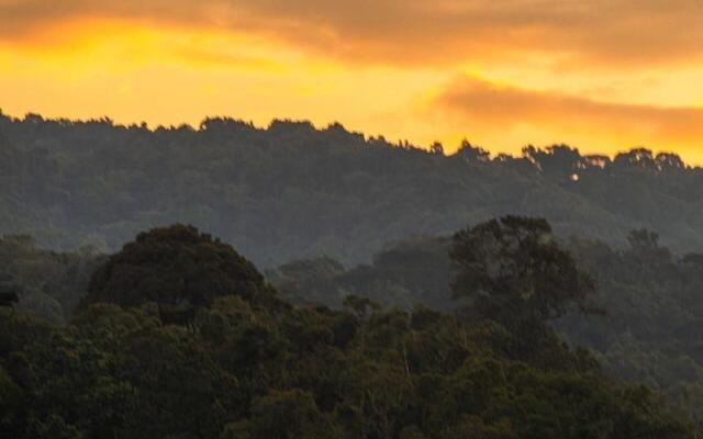 Gorilla Safari Lodge