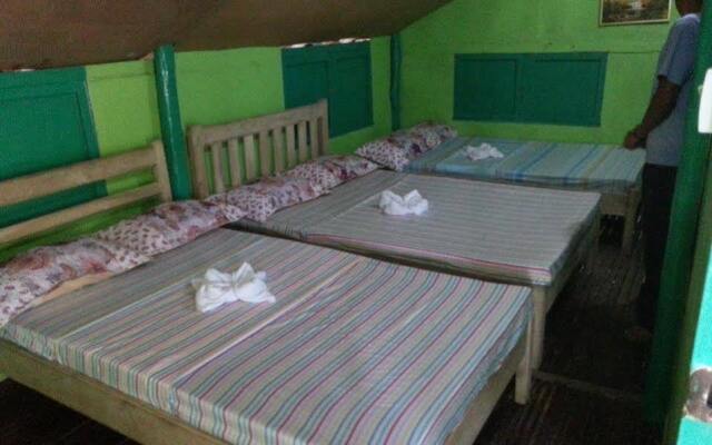 Flp Transient Hauz Guest House
