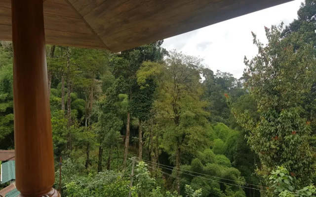 Dew Drops Farm Resorts