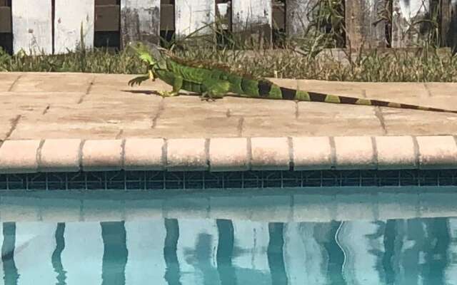 2 Master Suites Pool Home