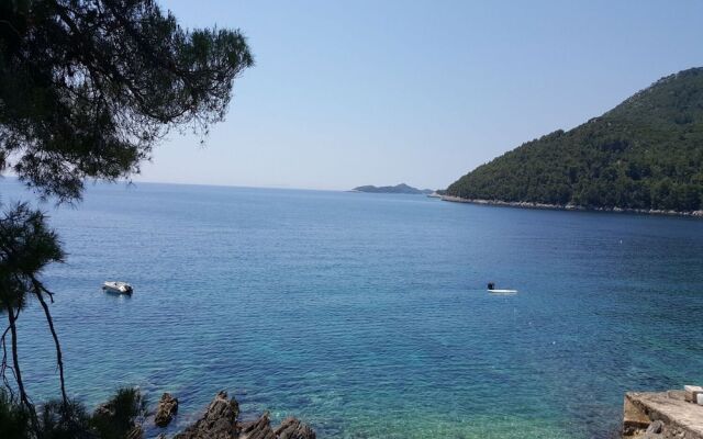 Mila - 80 m From the Beach - A1