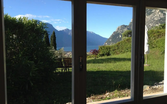 Verde E Panorama