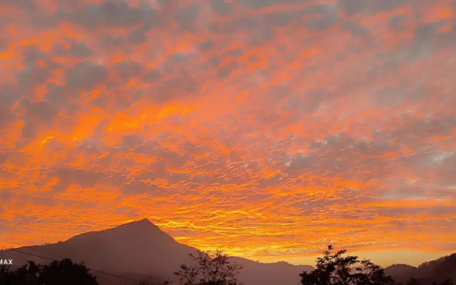 The Jungle Mist Resort