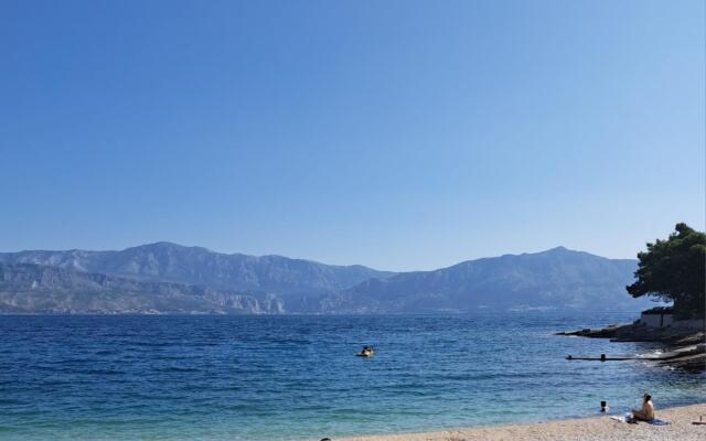 Jela - 50 m from pebble beach - A1(4+1)