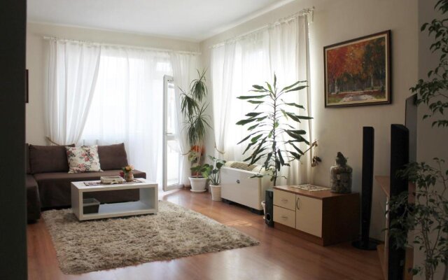 Sunny Day Apartment