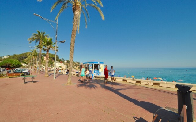 BTB By the Beach Zodiac