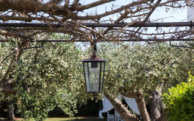 Tenuta Vigna Corallo