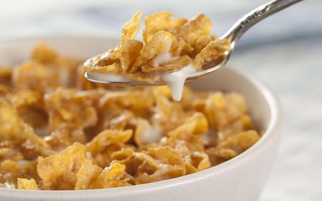 Executive Inn & Suites