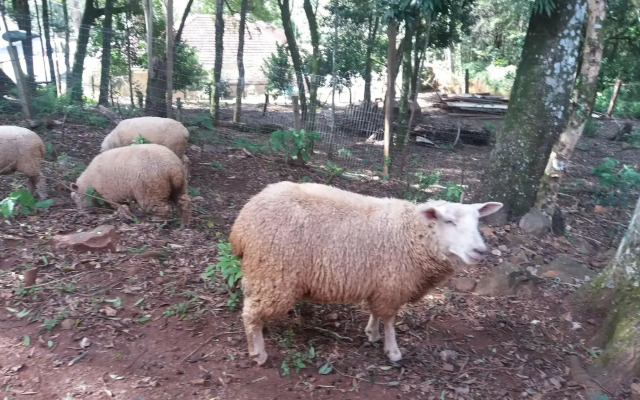 Pousada Maibe Amanhecer na Serra