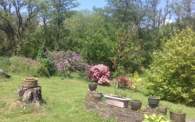 Hills Farm B&B Laugharne