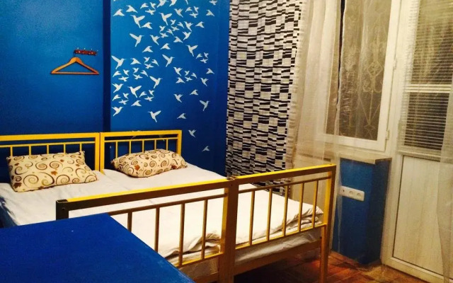 Zebra Hostel & Tours