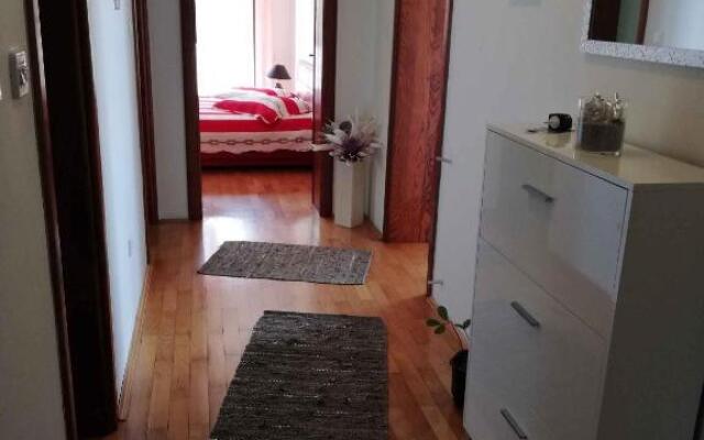 Apartments in Crikvenica 41855
