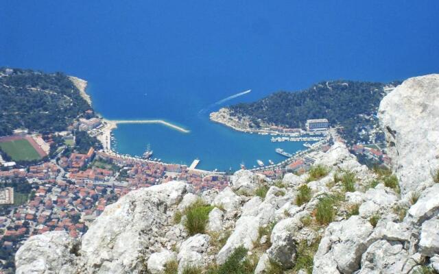 Apartments Srzic NO1