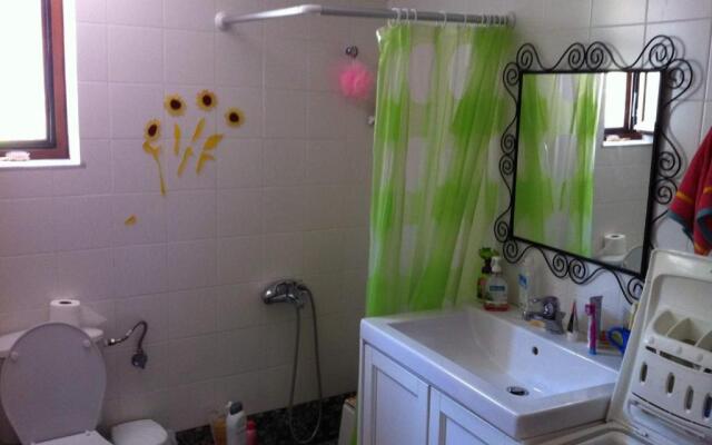 Traditional art house 2